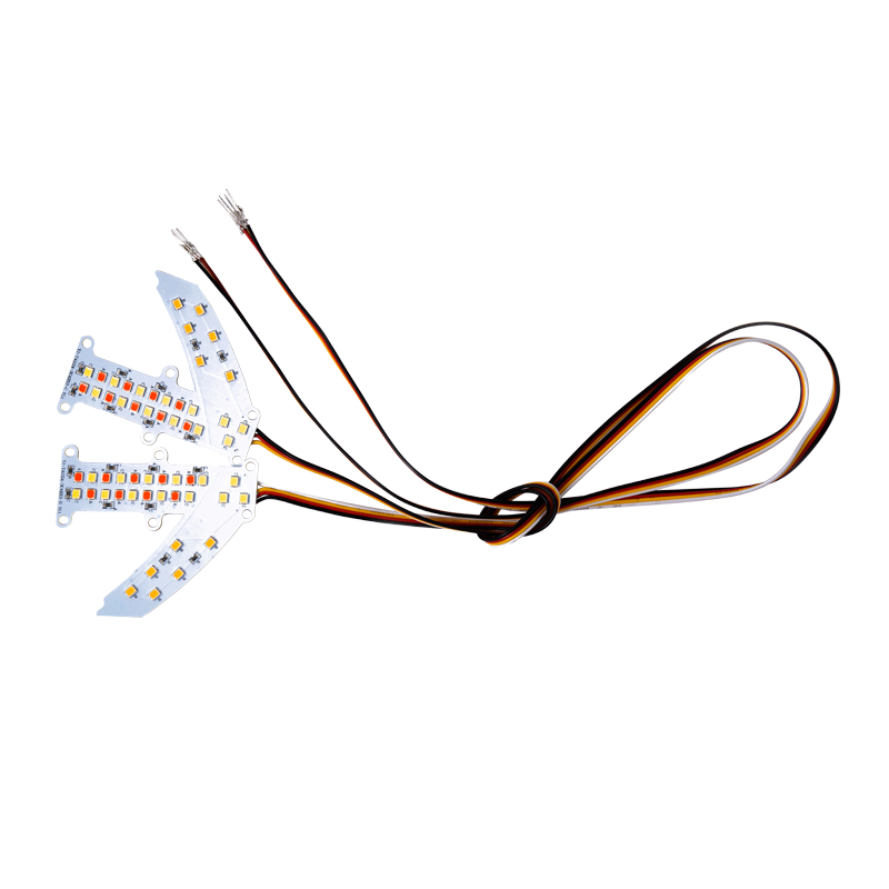 REAR LED (RED AND YELLOW)